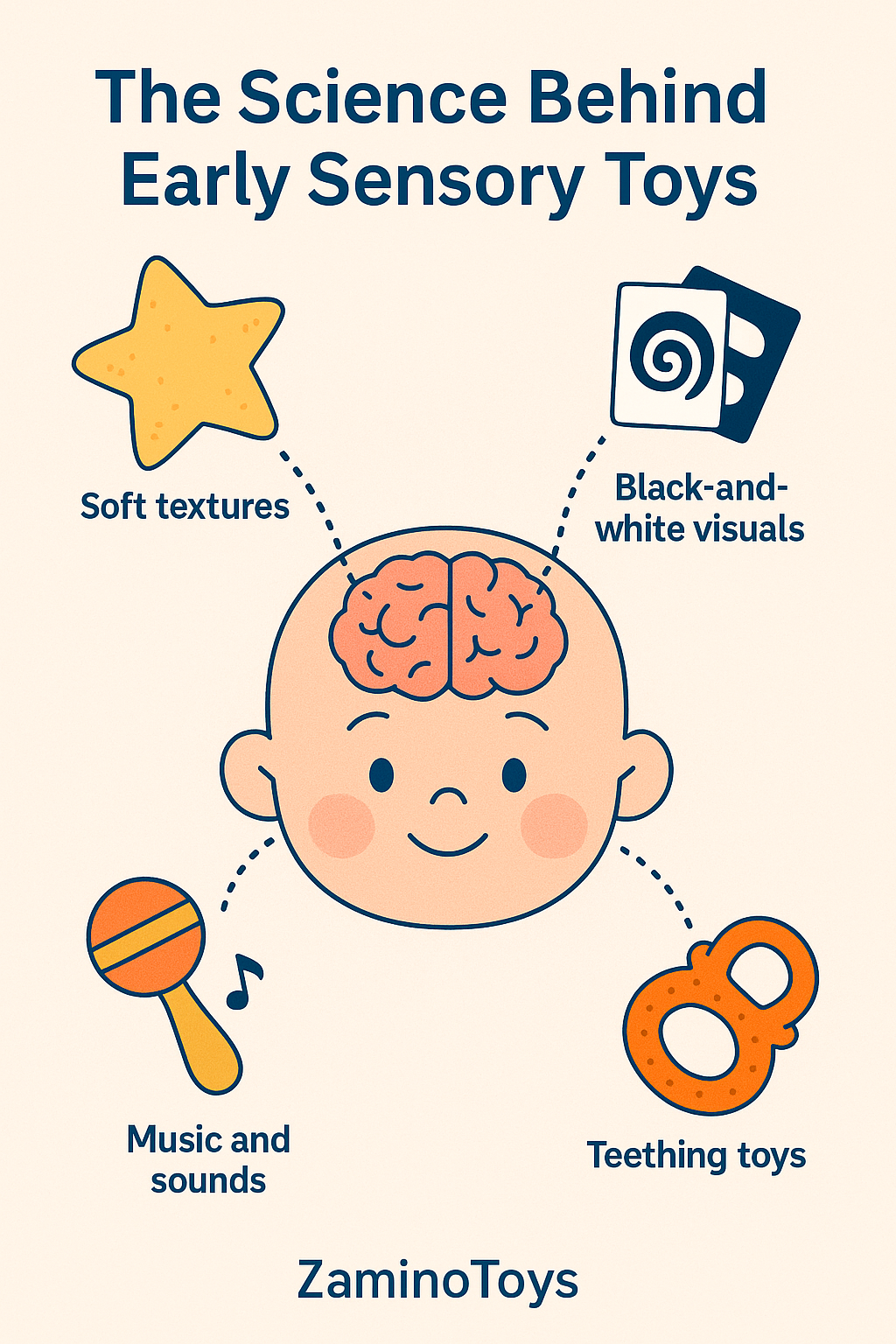 Infographic showing how sensory toys for infants stimulate brain development through sound, texture, visuals, and teething