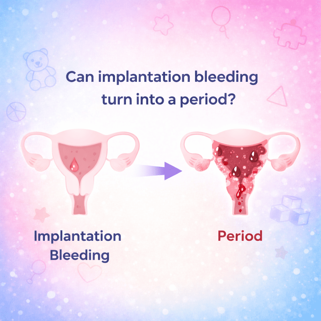 Implantation bleeding vs period comparison showing light spotting and heavy menstrual flow in uterus illustration