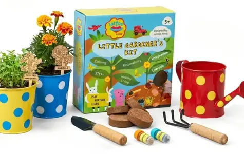 Useful Gifts for Childrens — A Complete Guide | Zamino Toys