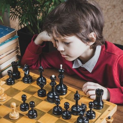 Boy playing chess with himself Educational Games